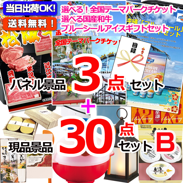 選べる！全国テーマパークチケット人気パネル景品３枚＆現品３０点セットB 【景品パネル＆引換券付き目録】15356