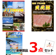 ビンゴ・イベントの景品はお任せ！ JTB旅行券1万円分＆米沢天元豚＆ブルーシール豪華３点セット 【景品パネル＆引換券付き目録】15325