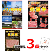 ビンゴ・イベントの景品はお任せ！ JTB旅行券1万円分＆選べる国産和牛＆イベリコ豚豪華３点セット 【景品パネル＆引換券付き目録】15327