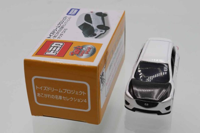 トイズドリームプロジェクト