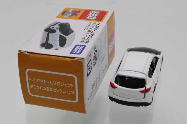 トイズドリームプロジェクト