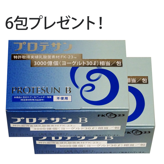 プロテサンB 31g×2箱