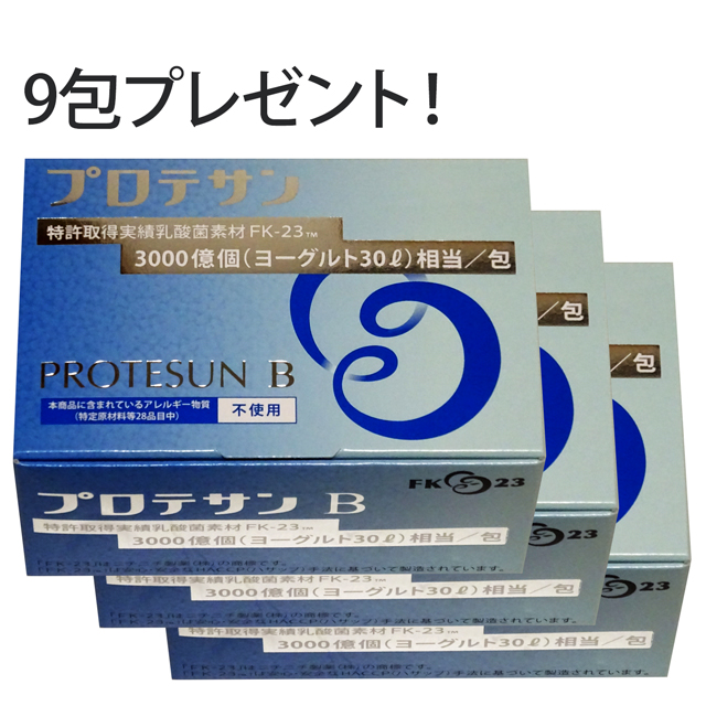 プロテサンB 31g×3箱