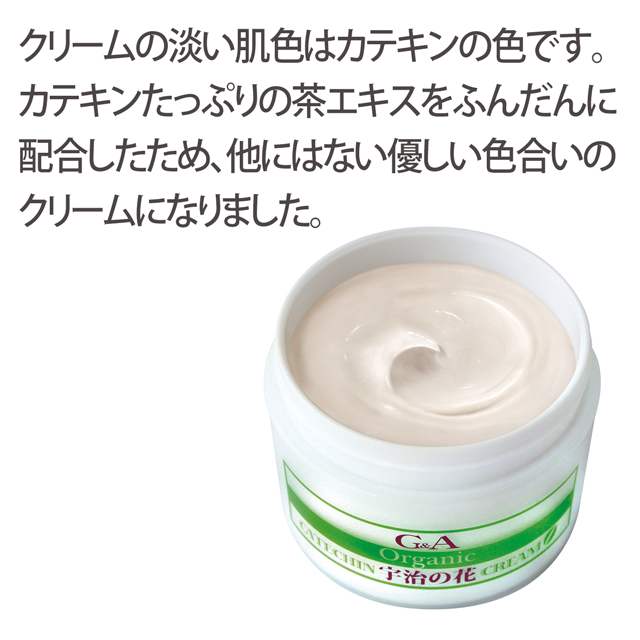 G&A カテキンクリーム説明-3