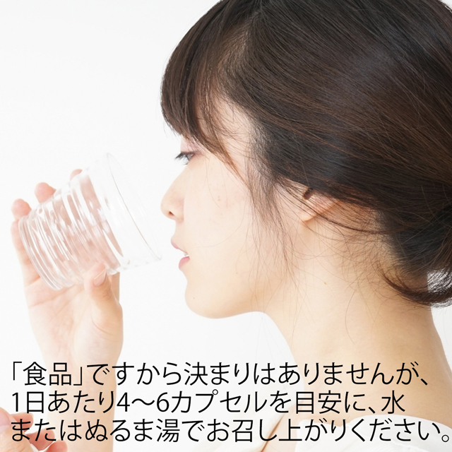 アルファベスト カプセル 説明-3