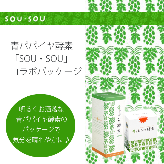 青パパイヤ酵素 タブレット バイオ・ノーマライザー 180粒（6粒×30包