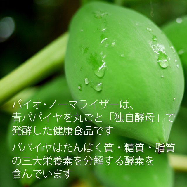 バイオノーマライザー タブレット 説明-1