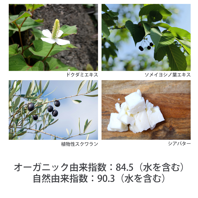 メール便送料無料】RINGO GEL CREAM リンゴゲルクリーム