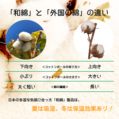 オーガニックコットン説明