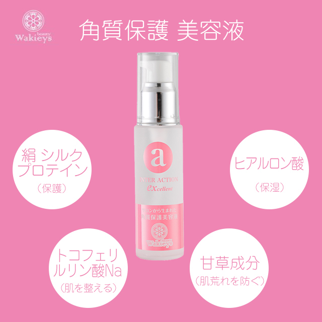 インターアクションEX-4