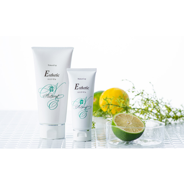 エステゲル 説明-3