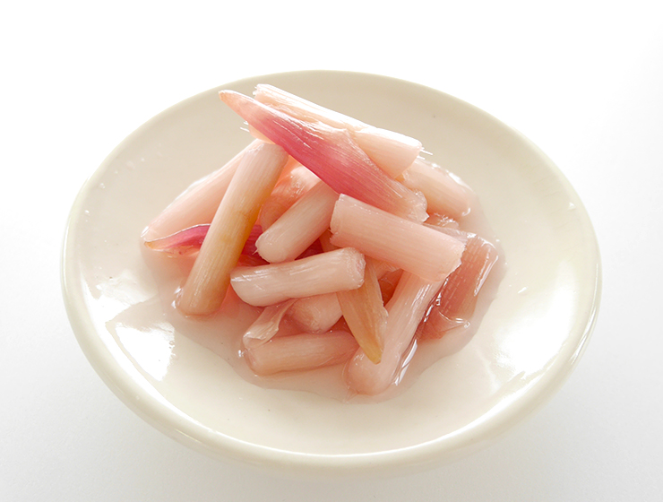 砂丘らっきょう