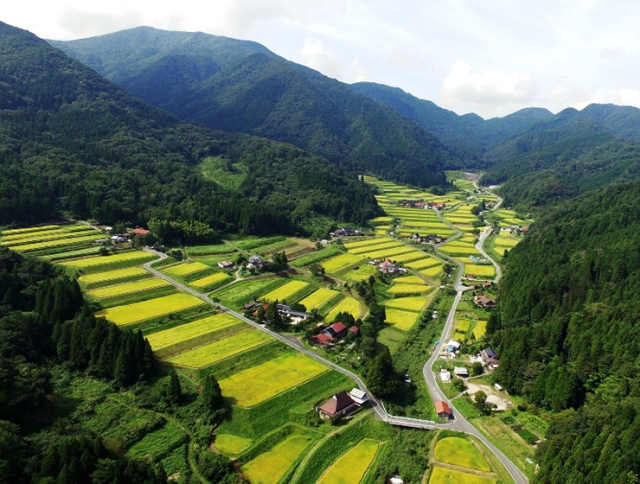 大峠源流米の産地