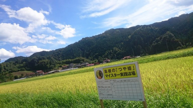 たたら餡米の産地