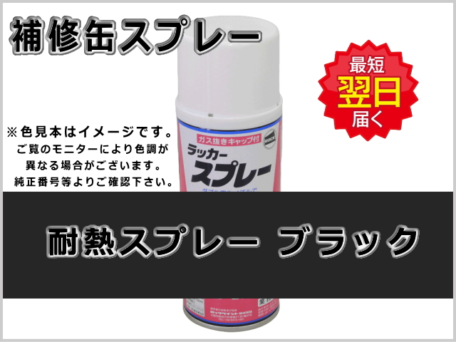 期間限定特価 補修スプレー 耐熱スプレー シルバー 0309 Topdental Com Ar