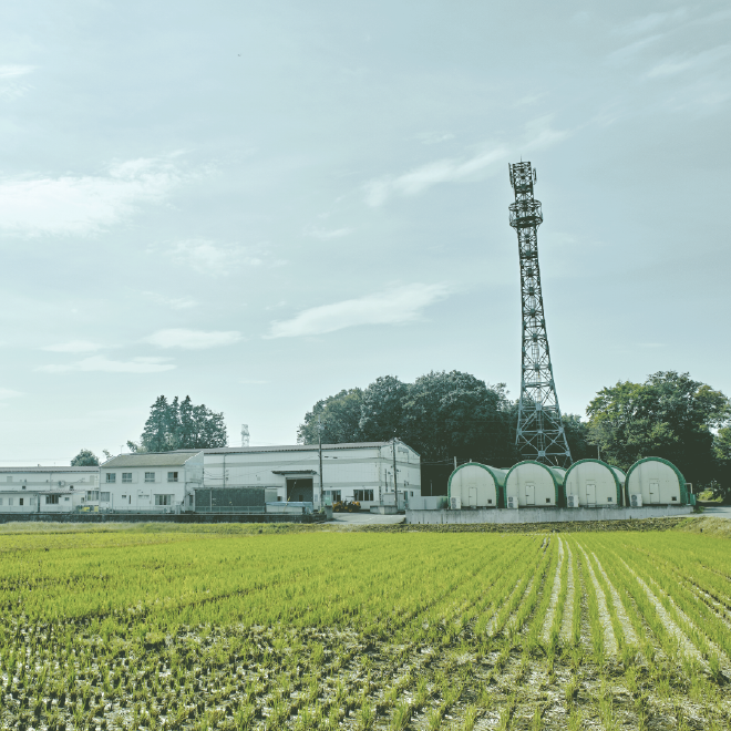 アガリクス茸仙生露は安心・安全の国産アガリクス茸「ABMK」を使用。協和発酵グループが開発した高機能アガリクスです。