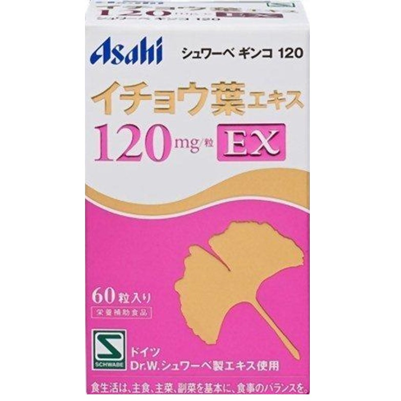 シュワーベ・ギンコ120mg EX 60粒