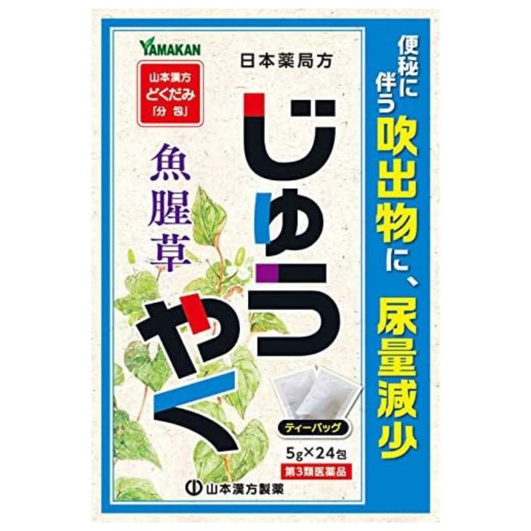 【第3類医薬品】日局 ジュウヤク どくだみ 分包 ティーバッグ 5g×24包