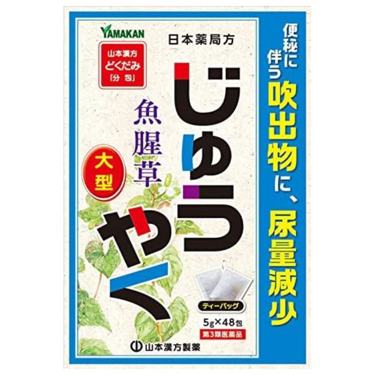【第3類医薬品】日局 ジュウヤク どくだみ 分包 ティーバッグ 5g×48包