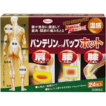 【第2類医薬品】バンテリンコーワパップホット 24枚入　　SM税制対象