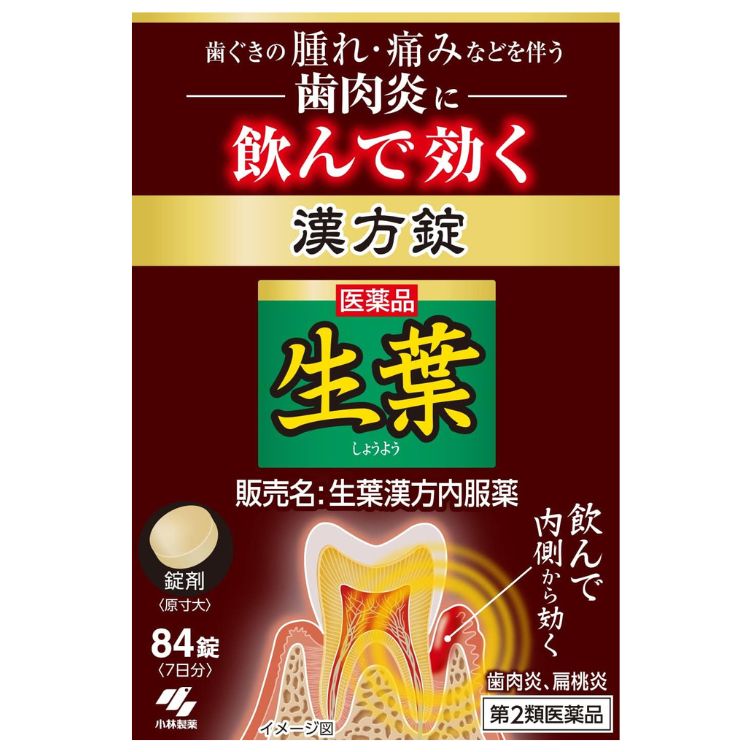 【第2類医薬品】生葉漢方錠 84錠