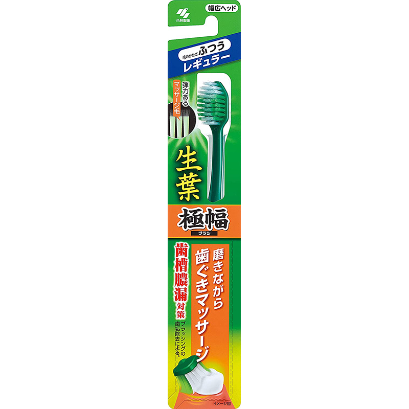 生葉歯間に入るブラシ レギュラーヘッド ふつう(緑・赤・青) 1本