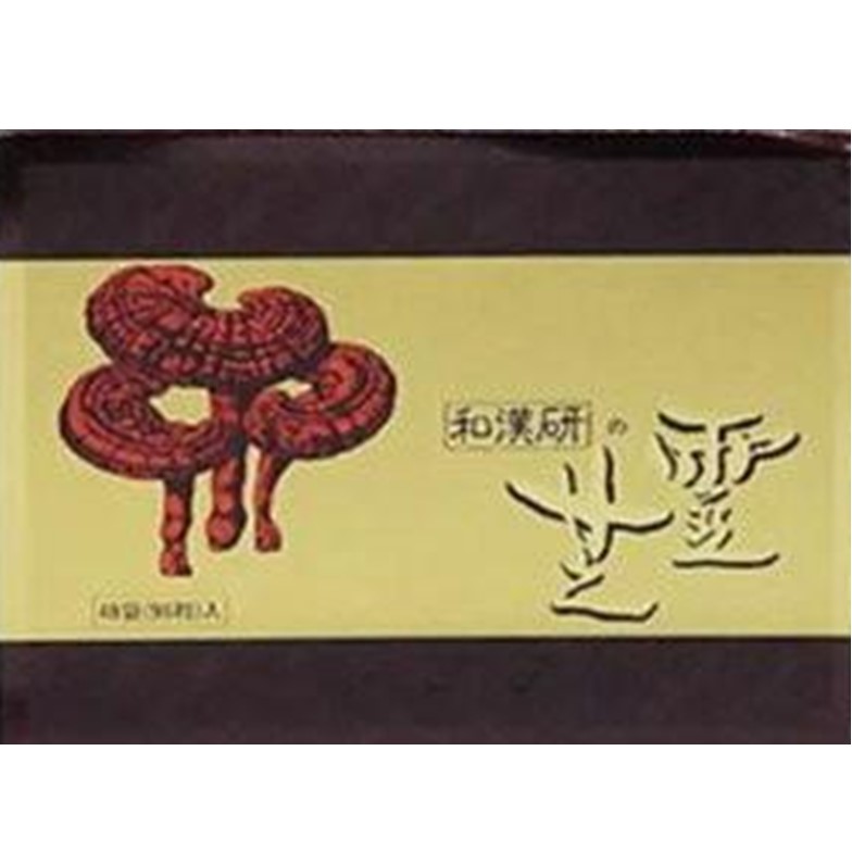和漢の霊芝 96錠