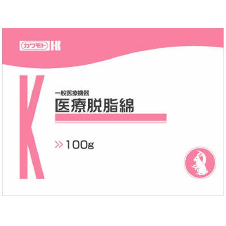 医療脱脂綿 100g