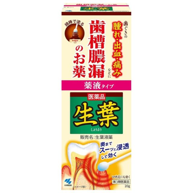 【第3類医薬品】生葉液薬 20g