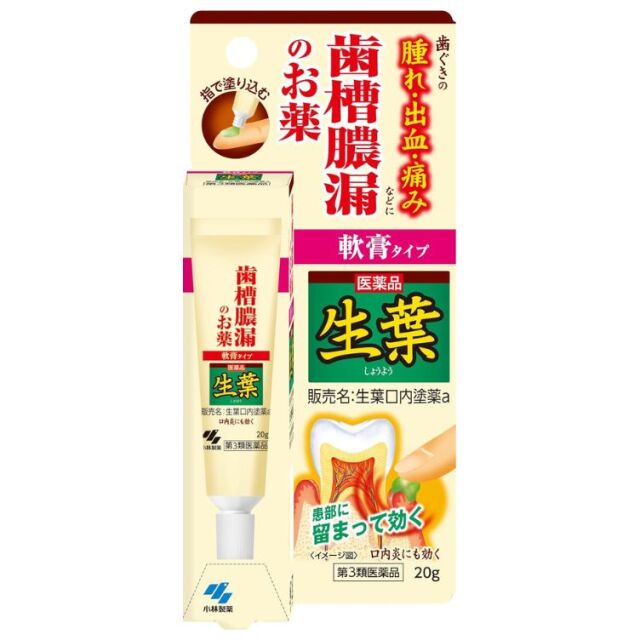 【第3類医薬品】生葉 口内塗薬 20g