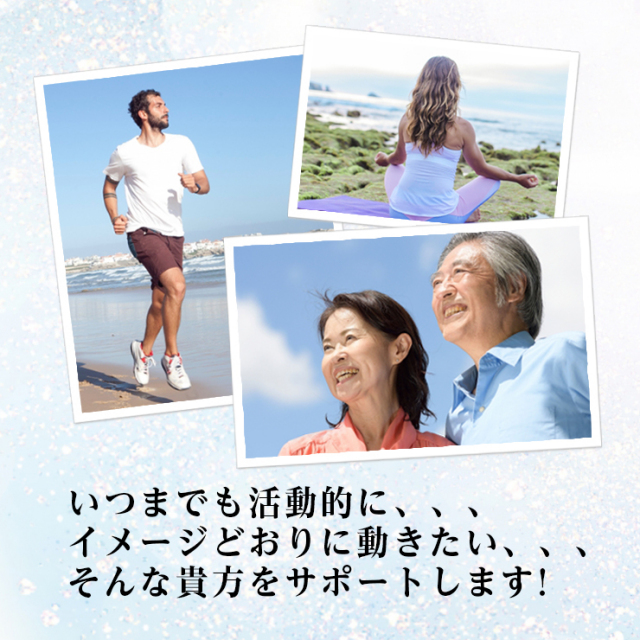 商品紹介