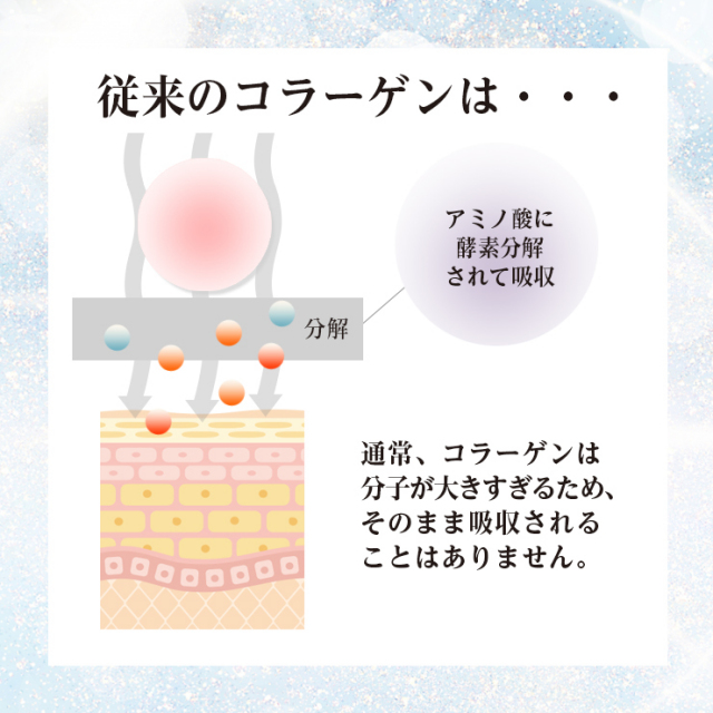 商品紹介