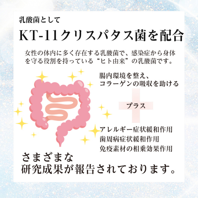 商品紹介