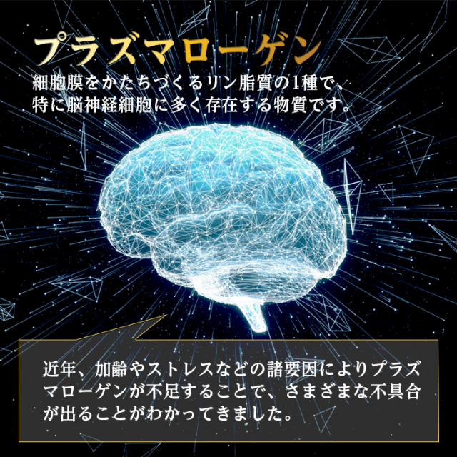 商品紹介