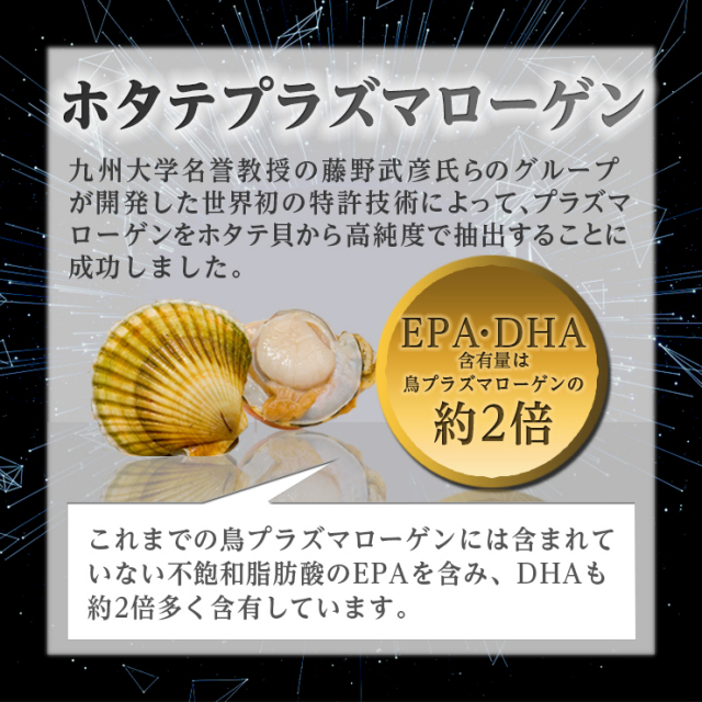 商品紹介