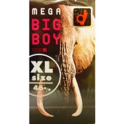 メガビックボーイ 12個入