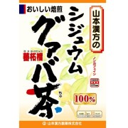 100%シジュウムグアバ茶 3g×20包　　F05