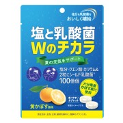 塩と乳酸菌Wのチカラ 黄かぼす風味 44g