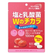 塩と乳酸菌Wのチカラ 梅風味 44g