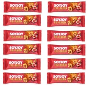 【12個セット】ソイジョイイチジク＆レーズン 30g×12個