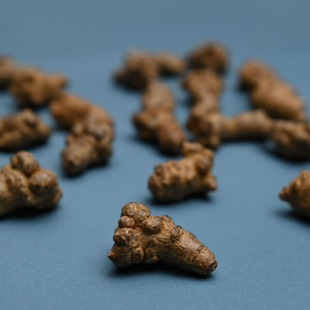 発酵田七人参60g(1.5g×40包)｜それいゆはとむぎ