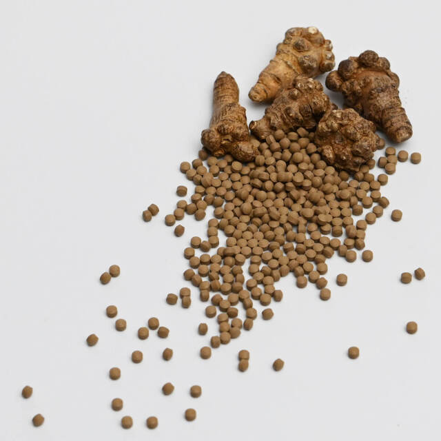 発酵田七人参 お徳タイプ225g(1.5g×150包)｜それいゆはとむぎ