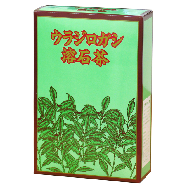 自然健康社 ウラジロガシ茶３０パック