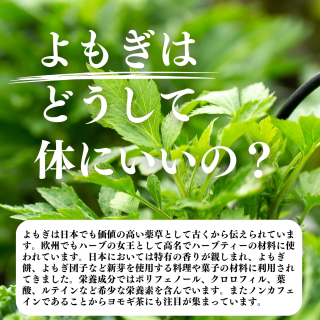 自然健康社 よもぎ粉末100g