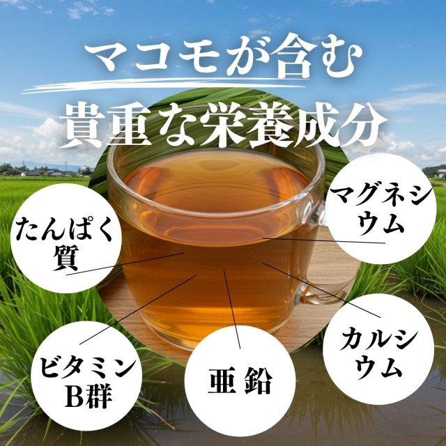 【新品】マコモ190g 自然性植物質まこも飲料 粉末 健康茶 マコモ (190g・粉末) まこも飲料｜「乳酸菌生産物質 のど飴