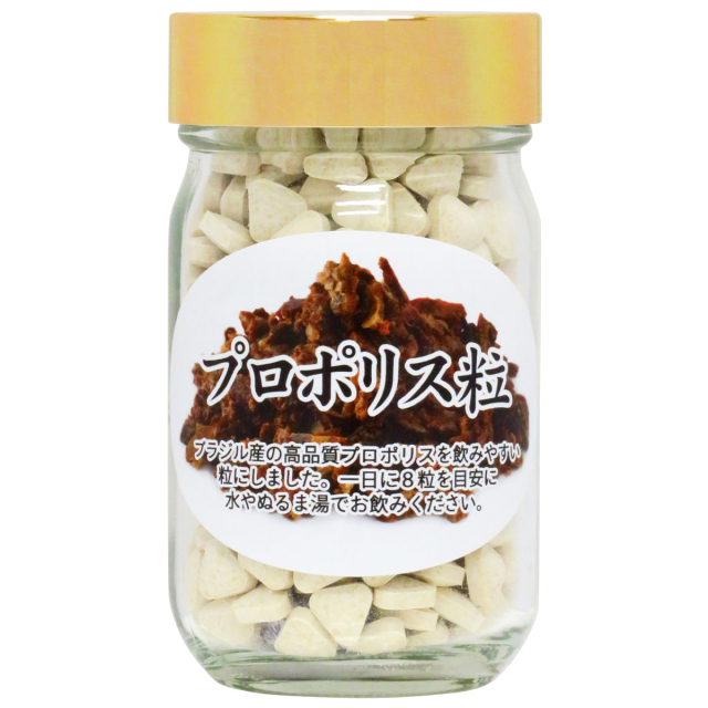 自然健康社 プロポリスエキス粒１１５ｇ