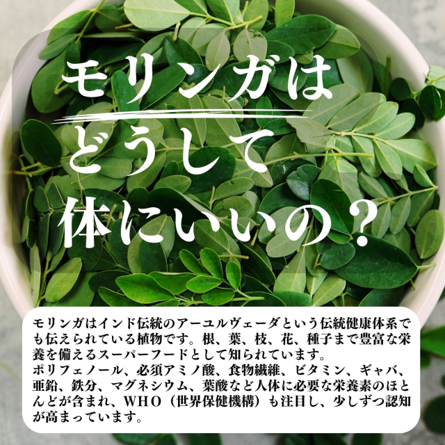 【健美葉(マルンガイ)】粉末 3個セット マルンガイ 健美葉 けんびば 微粉末 100g 3個3袋セット コス