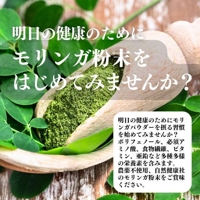 自然健康社 モリンガ粉末400g