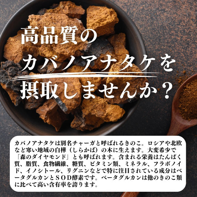 カバノアナタケ　3Kg no01104_raku65.jpg
