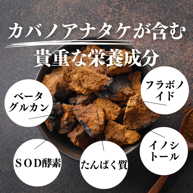 カバノアナタケ　3Kg 自然健康社 カバノアナタケ茶32パック